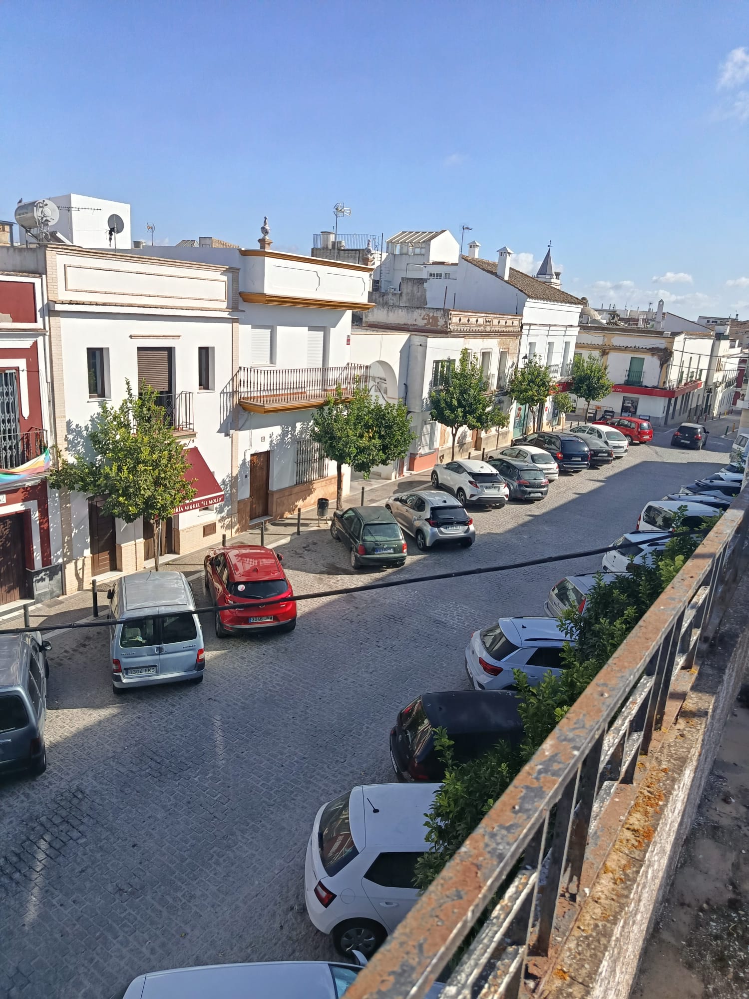 WhatsApp Image 2025-10-30 at 16.56.06 (2)