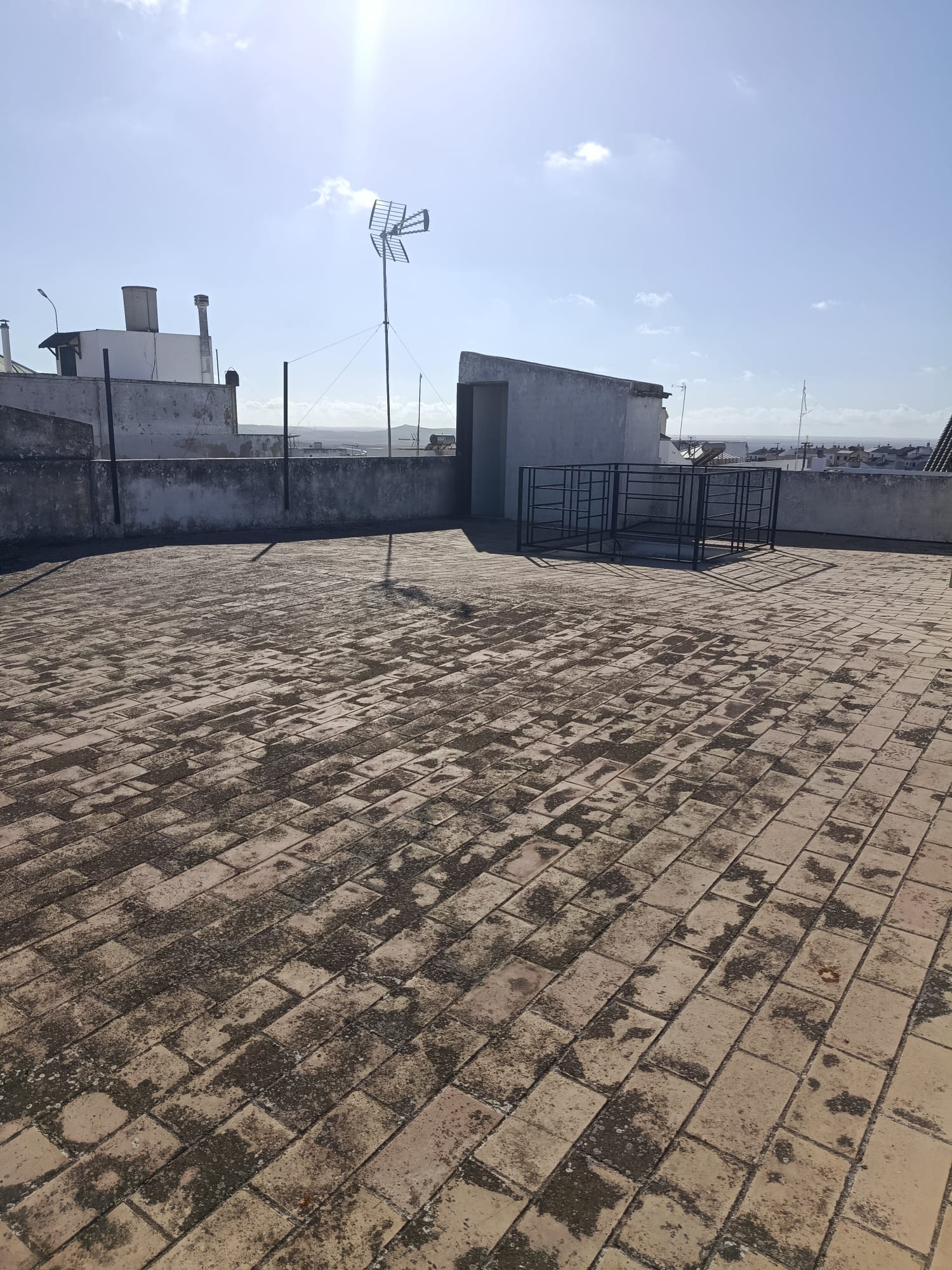 WhatsApp Image 2025-10-30 at 16.56.06